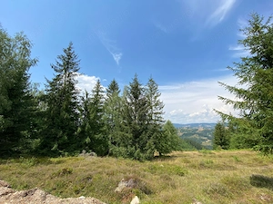 Teren intravilan 3.120 mp in Sohodol, Albac - Muntii Apuseni - imagine 4