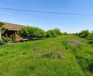 Teren intravilan 3.282 mp   Ordoreanu, Clinceni, utilități - imagine 4