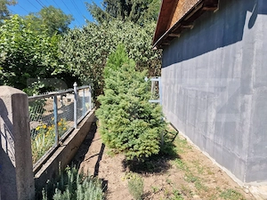 Casa locuibila 81 mp cu teren in suprafata de 400mp in loc Bontida - imagine 3