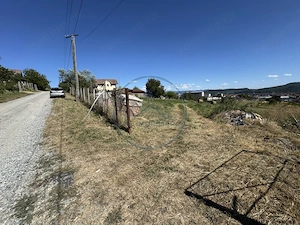 TEREN INTRAVILAN 4.600 MP - ZONA LEONI - OPORTUNITATE DE INVESTIȚIE  - imagine 4