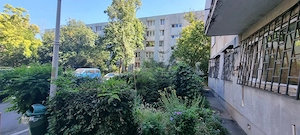 Timisoara Profii - imagine 2