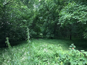 Teren Dem Radulescu, 1150 mp, la 7 min de centrul orasului Rm Valcea - imagine 10