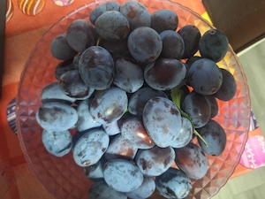Prune pentru tuica sau consum