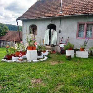 Casa de vânzare la munte în jud Hunedoara  - imagine 4
