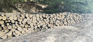 vând lemne de foc esența tare fag calitate superioara 