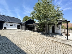 Proprietate superbă in Damieni! cu potential enorm comercial! 550mp utili-47Ari! - imagine 5