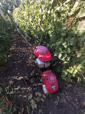 Motosapă Honda GCV 160, motor de rezervă, funcționabil
