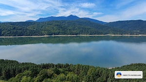 Teren intravilan 5.800 mp, Grozavesti, com. Hangu, jud. Neamt - imagine 3