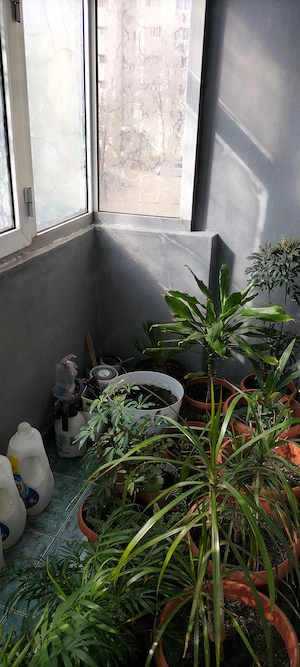 Apartament 2 camere, semidecomandat , 48mp , Tomis 4 Nord  - imagine 7