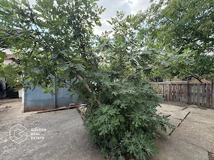 Casa cu doua corpuri de cladire in Gradiste - imagine 16