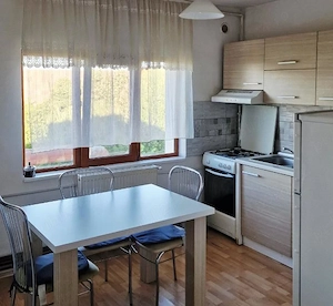Proprietar,Inchiriez  Apartament cu o camera 42 mp,decomandat Bega Bujorilor - imagine 4