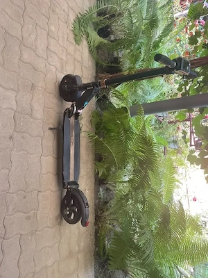 Trotineta electrica