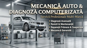 Servicii de mecanica usoara   mecanic