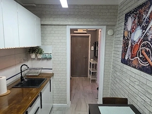 Apartament 2 camere, 51 mp, Dr Taberei, 7 8, Mobilat și utilat, risc seismic I - imagine 6