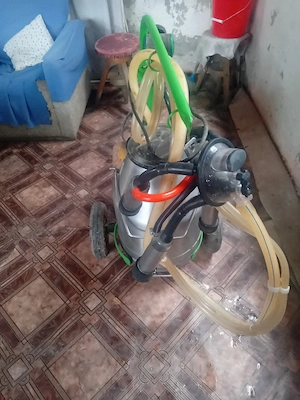 masina de muls foarte bună 