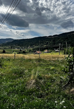 Vând teren zona Vlădeasa, Visagu - imagine 6