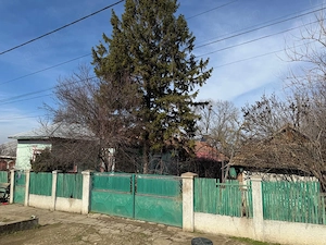 Vand casa in Viisoara - Teleorman - imagine 2
