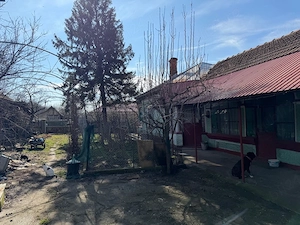 Vand casa in Viisoara - Teleorman - imagine 3