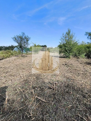 Teren 5.800 mp Timișoara Ghiroda