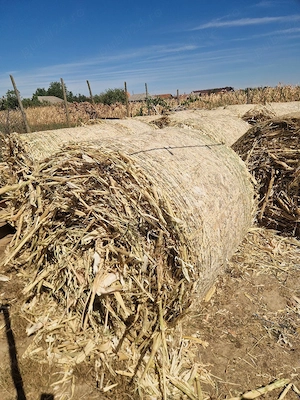 baloti tocatura porumb