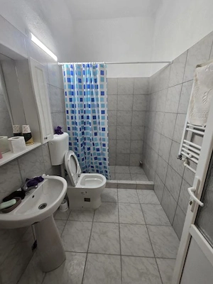 Fratelia- casa individuala renovata- 1439 mp teren - imagine 4