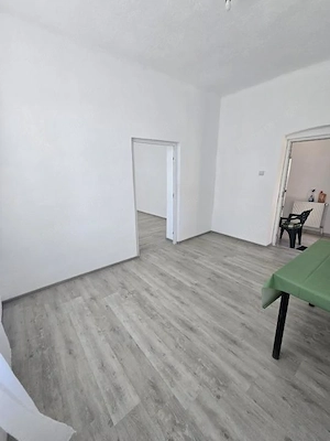 Fratelia- casa individuala renovata- 1439 mp teren - imagine 2