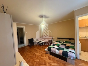 Apartament cu 1 camera de vanzare , Zona Circumvalațiunii , Timisoara - imagine 2