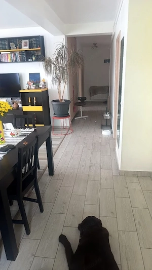 Apartament 3 camere – Tractorul, Brașov | COMISION 0% - imagine 13