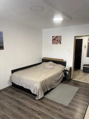 Apartament 2 camere, in centrul orasului, spre inchiriere - imagine 6