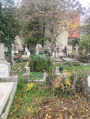 loc de veci -Cimitirul Central Constanta - imagine 2