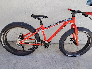 Bicicleta Fat Bike