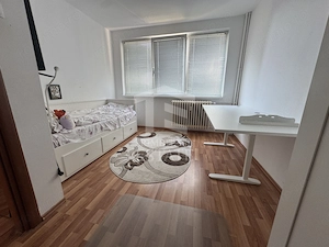 Tei Ion Berindei 3 Camere 8/10 Renovat - imagine 5