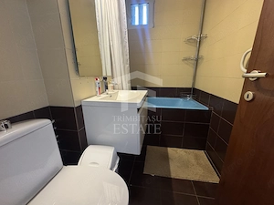 Tei Ion Berindei 3 Camere 8/10 Renovat - imagine 7