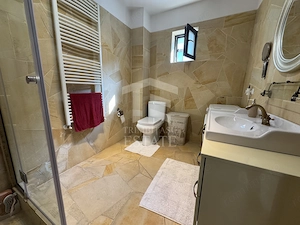 Domnesti Duplex 4 Camere 160 mp - imagine 24