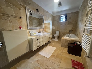 Domnesti Duplex 4 Camere 160 mp - imagine 48