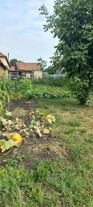 Vând teren INTRAVILAN 730 m2 Cisnădie  - imagine 2
