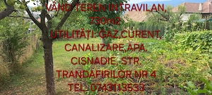 Vând teren INTRAVILAN 730 m2 Cisnădie  - imagine 4