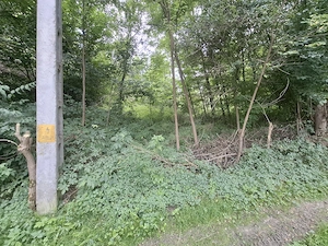 Vând teren în Valea Lungă Cricov  Dâmbovița  - imagine 10