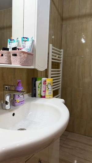 Cazare regim hotelier Reșița  - imagine 3