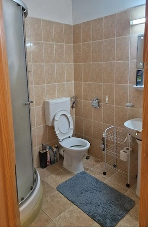 Apartament cu o camera 42 mp,decomandat Bega Bujorilor - imagine 5