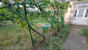 Oportunitate: Teren 1160 mp. cu casa, Puskin cu Petru Rares! - imagine 5