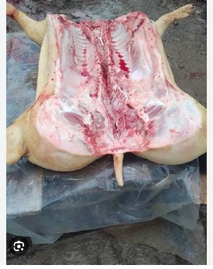 vand carcasa de porc 