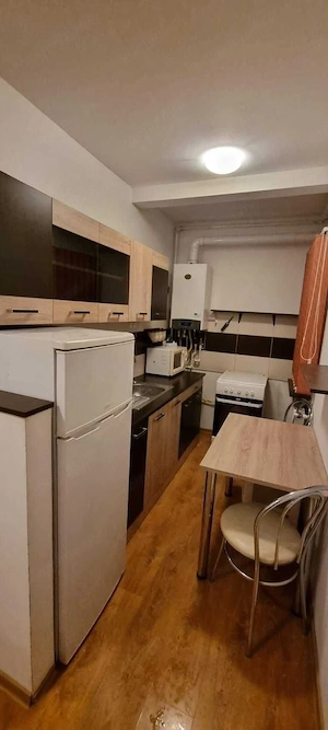 De inchiriat apartament 2 camere Timișoara, zona Martirilor - imagine 7