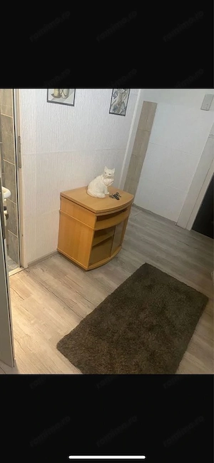 Apartament de inchiriat in zona spitalului judetean - imagine 6