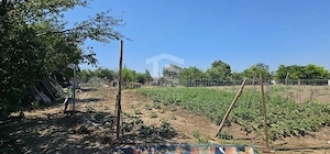 Teren intravilan 641 mp Eforie Nord – 38.000 € | Comision 0% - imagine 4