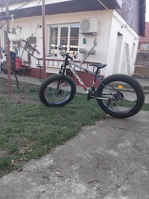 prestație de servicii