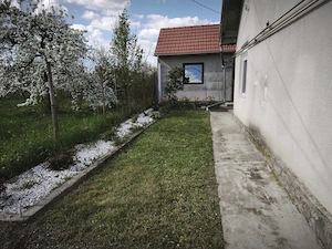 De vânzare casa in Caransebes + 2 anexe - imagine 2