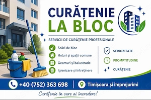 Firma de curatenie 
