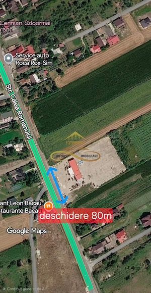 Hale de inchiriat Bacau/ Service Auto 300-700 mp | E85 Bogdan Voda - imagine 15
