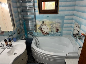 Vila D+P+E, Vladesti-Valcea - imagine 11